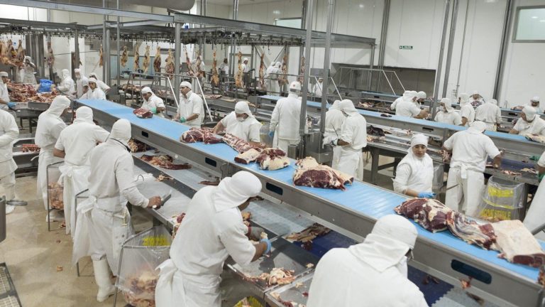 Lee más sobre el artículo Industria frigorífica genera salarios por casi US$ 2.000 millones al año