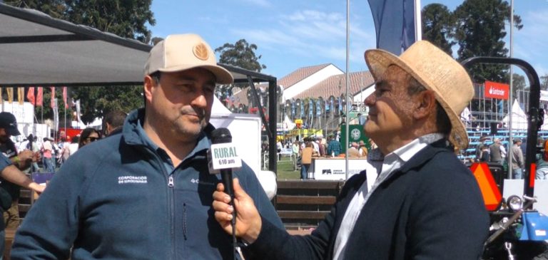 Lee más sobre el artículo Se reactiva la demanda de maquinaria agrícola con la propuesta de Corporación de Maquinaria