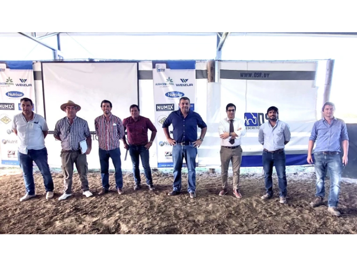 Lee más sobre el artículo Sector lechero: exportaciones en pie y buenos precios externos acompañan un momento favorable