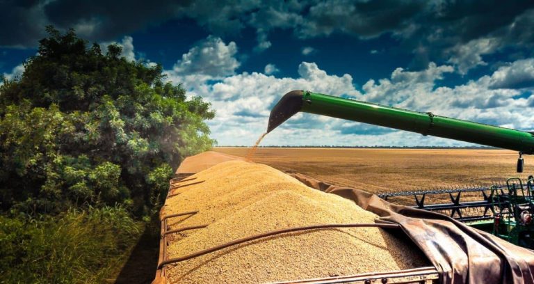 Lee más sobre el artículo Mercados agrícolas: suba de la soja tras semana de alta volatilidad
