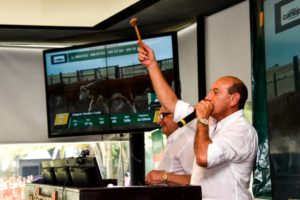 Lee más sobre el artículo Gran expectativa por el 57.º remate anual de Hereford Inglés de Tellería