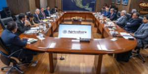 Lee más sobre el artículo Avanza en la apertura del mercado de carne ovina con hueso en México y fortalece lazos de cooperación agropecuaria