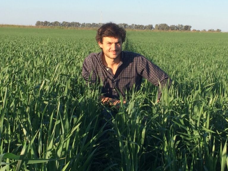 Lee más sobre el artículo A la vanguardia de la agricultura de precisión: la revolución tecnológica que redefine el campo 