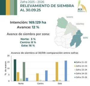 Lee más sobre el artículo Moderado avance para la siembra de arroz
