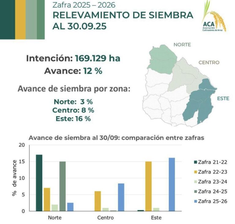 Lee más sobre el artículo Moderado avance para la siembra de arroz
