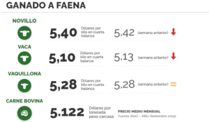 Lee más sobre el artículo El ganado gordo corrige valores por primera vez en casi 40 semanas