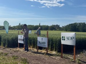 Lee más sobre el artículo Cuatro años de encalado demuestran rentabilidad y mayor rinde en la agropecuaria de Dolores