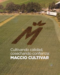 Lee más sobre el artículo Jornada de Macció: Las «3 Estaciones» para maximizar el rendimiento en trigo