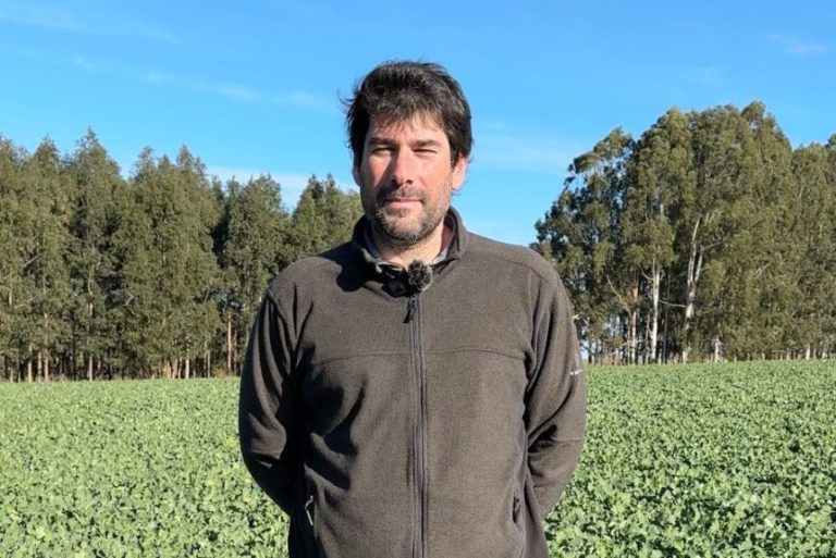 Lee más sobre el artículo Soja al alza por clima sudamericano y optimismo comercial