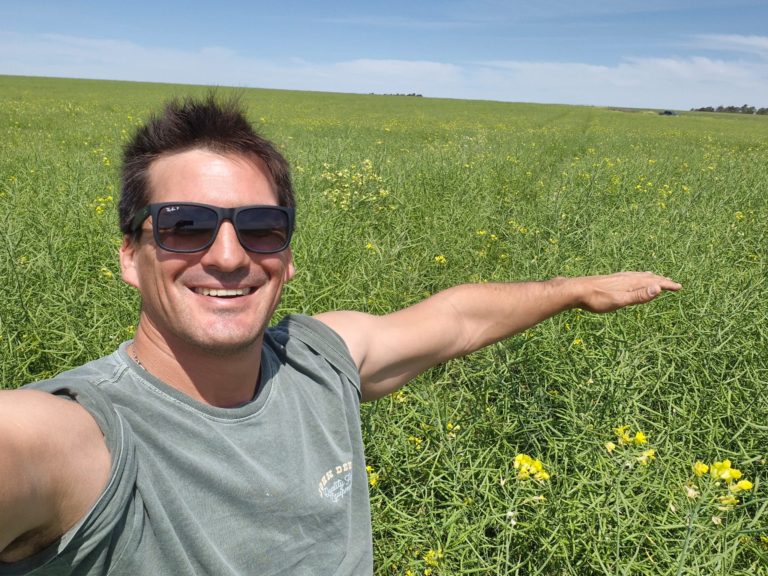 Lee más sobre el artículo Colza en el litoral promete buenos rendimientos, pero la rentabilidad enfrenta un panorama «complejo»