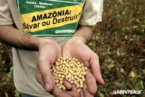 Lee más sobre el artículo Brasil se prepara para una cosecha histórica en 2025