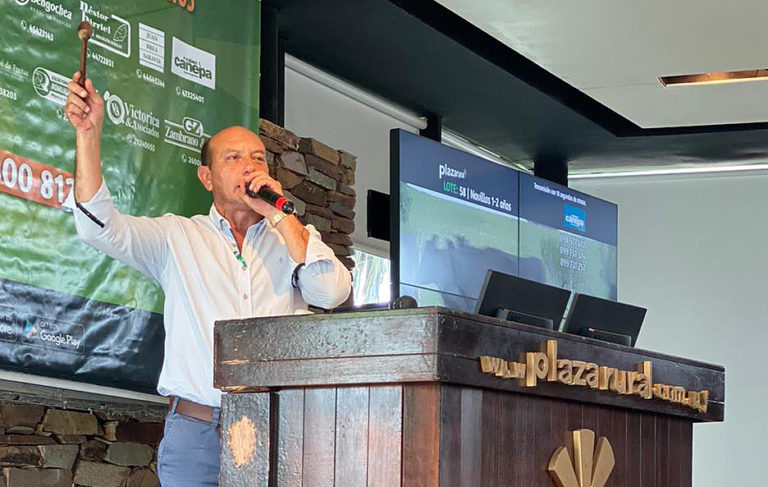 Lee más sobre el artículo Sostenida demanda impulsa la zafra 2025 en Salto: escritorio Cánepa reporta precios con un 38% de aumento