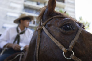 Lee más sobre el artículo Más de 120 jinetes salieron desde Fray Bentos para celebrar los 200 años de la batalla de Sarandí