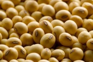 Lee más sobre el artículo Mercado agrícola: estabilidad en los precios y foco en la próxima siembra de soja