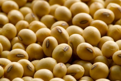 Lee más sobre el artículo Mercado agrícola: estabilidad en los precios y foco en la próxima siembra de soja
