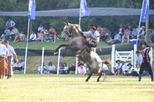 Lee más sobre el artículo El Concurso de Jinetes demostró emoción y destreza en la Fiesta Nacional del Mate