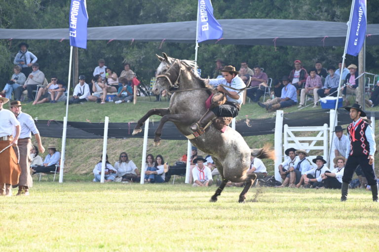 Lee más sobre el artículo El Concurso de Jinetes demostró emoción y destreza en la Fiesta Nacional del Mate