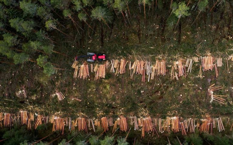 Lee más sobre el artículo  La UE aplaza la normativa de deforestación para permitir una implementación «realista»