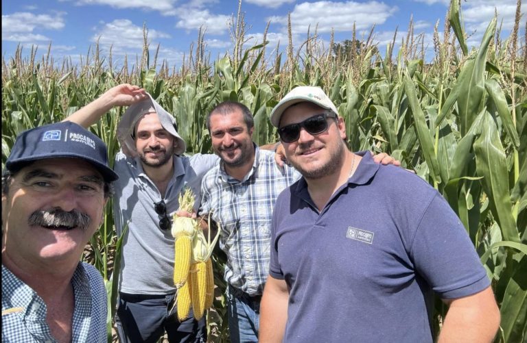 Lee más sobre el artículo Procampo y Supra impulsan la siembra de maíz de segunda con nuevos materiales y enfoque en manejo avanzado