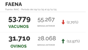 Lee más sobre el artículo Mayor Interés de compra por el novillo de cuota y ajuste en valores de reposición
