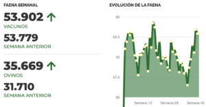 Lee más sobre el artículo 