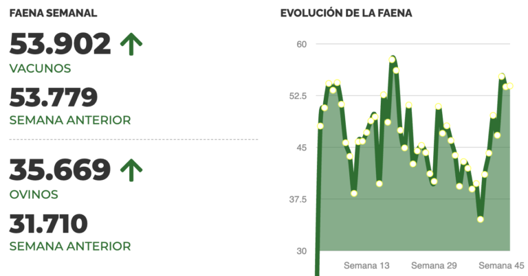 Lee más sobre el artículo 
