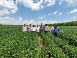 Lee más sobre el artículo Impulsan la revolución de los productos biológicos en la agricultura 