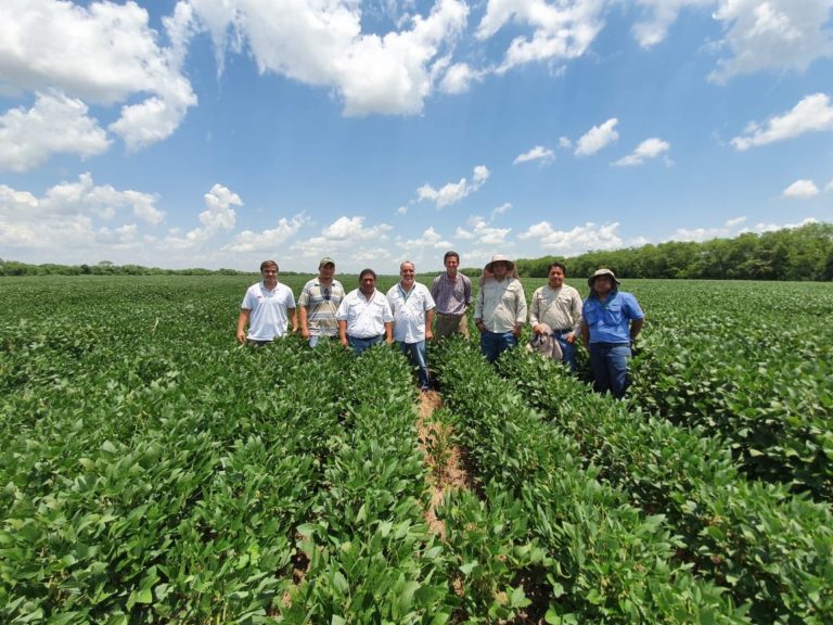 Lee más sobre el artículo Impulsan la revolución de los productos biológicos en la agricultura 