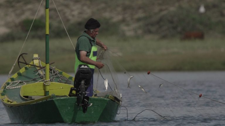 Lee más sobre el artículo Elaboran un Plan Nacional de de Pesca tras más de 50 años