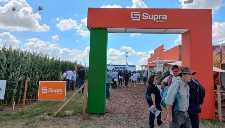 Lee más sobre el artículo La oportunidad para el Maíz de Segunda en la visión de Procampo y Supra