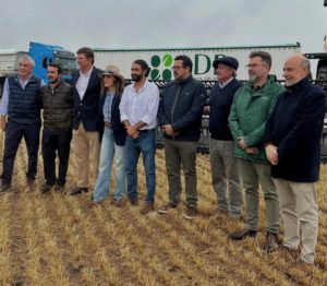 Lee más sobre el artículo Cosecha de trigo con kilos que compensan menor precio