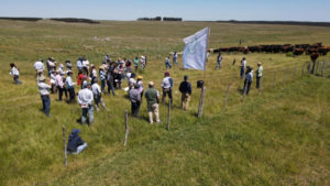 Lee más sobre el artículo Definen medidas de apoyo al campo natural