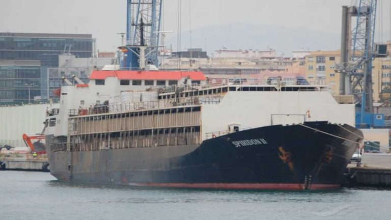 Lee más sobre el artículo El ganado vacuno uruguayo desembarca en Turquía