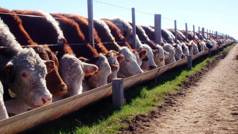 Lee más sobre el artículo Definen la agenda de la Mesa de Alimentación a Corral