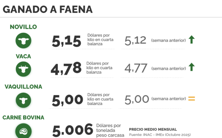 Lee más sobre el artículo Firmeza en el vacuno y demanda sostenida en reposición; ovinos con mayor oferta