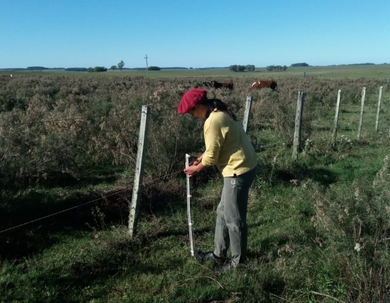 Lee más sobre el artículo El sector rural firma nuevo convenio salarial hasta 2027