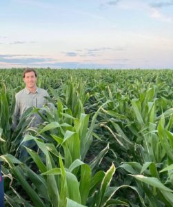 Lee más sobre el artículo Excelentes rindes impulsan la siembra de soja y maíz de segunda