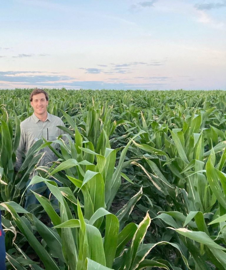 Lee más sobre el artículo Excelentes rindes impulsan la siembra de soja y maíz de segunda