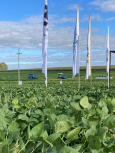 Lee más sobre el artículo El sistema agrícola defiende los resultados de las empresas con récord de productividad