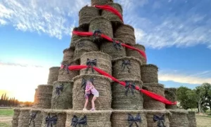 Lee más sobre el artículo Un homenaje rural hecho con fardos