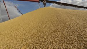 Lee más sobre el artículo Argentina: el Gobierno anunció una nueva baja de retenciones para el campo