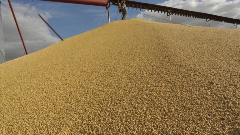 Lee más sobre el artículo Argentina: el Gobierno anunció una nueva baja de retenciones para el campo