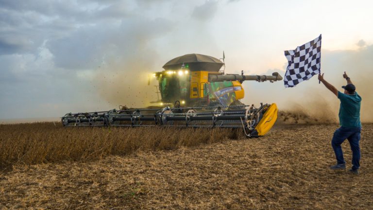 Lee más sobre el artículo La soja busca piso de precios en un mercado sobre ofertado