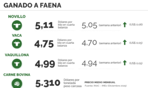 Lee más sobre el artículo Escasa oferta y demanda activa presionan los precios al alza