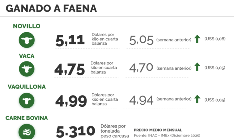 Lee más sobre el artículo Escasa oferta y demanda activa presionan los precios al alza