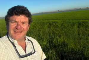 Lee más sobre el artículo El dólar profundiza su caída y perfora el piso de los $38 en el mercado interbancario