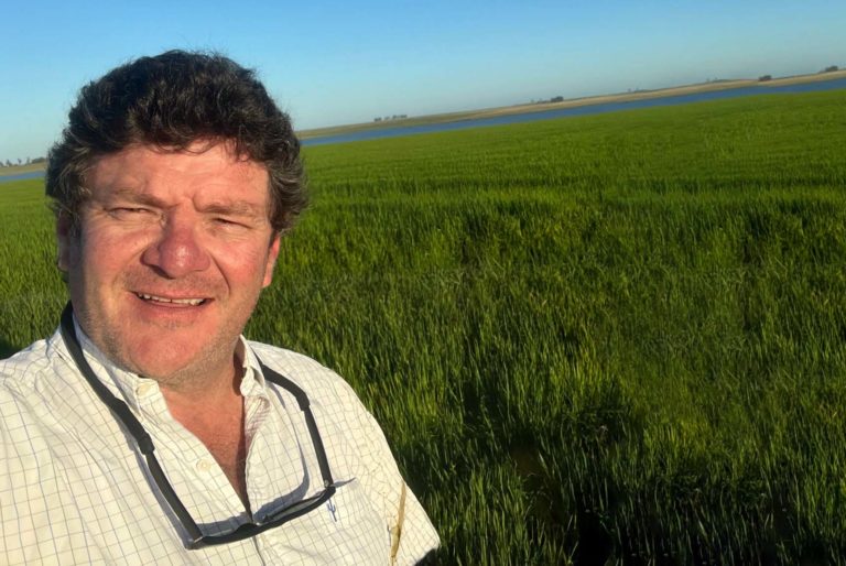 Lee más sobre el artículo El dólar profundiza su caída y perfora el piso de los $38 en el mercado interbancario