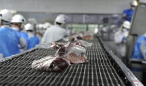 Lee más sobre el artículo Definen extensiones del seguro de paro para más de 800 trabajadores de la industria cárnica