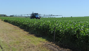 Lee más sobre el artículo Soja: entre la expectativa por lluvias y el desafío de blindar el rinde