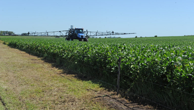 Lee más sobre el artículo Soja: entre la expectativa por lluvias y el desafío de blindar el rinde